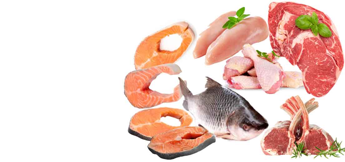 0-fishmeat-slider-1105x519